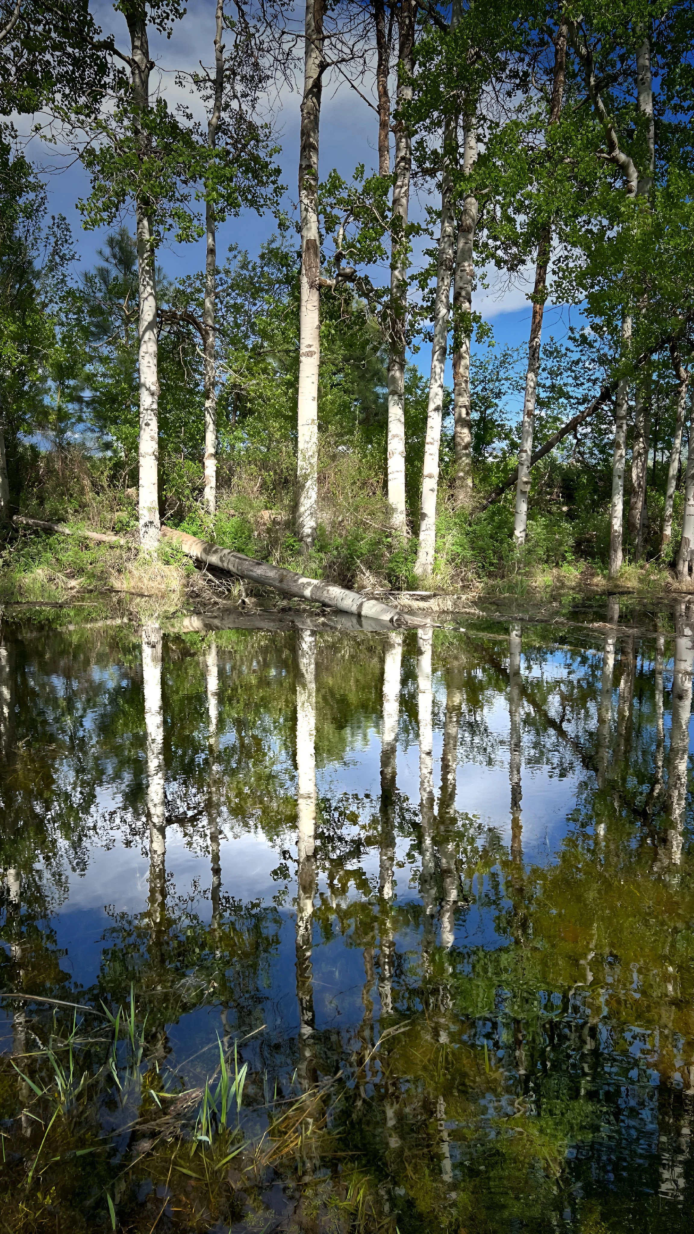 IMG_0600.JPG