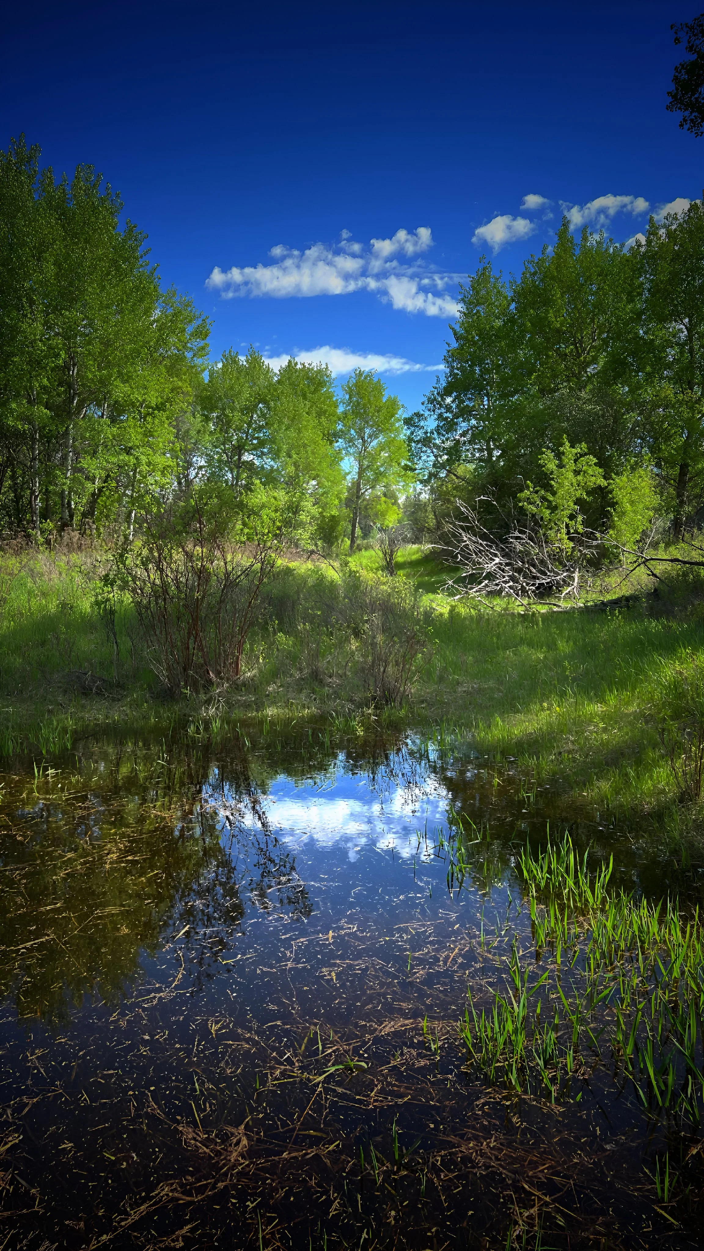 IMG_0598.JPG