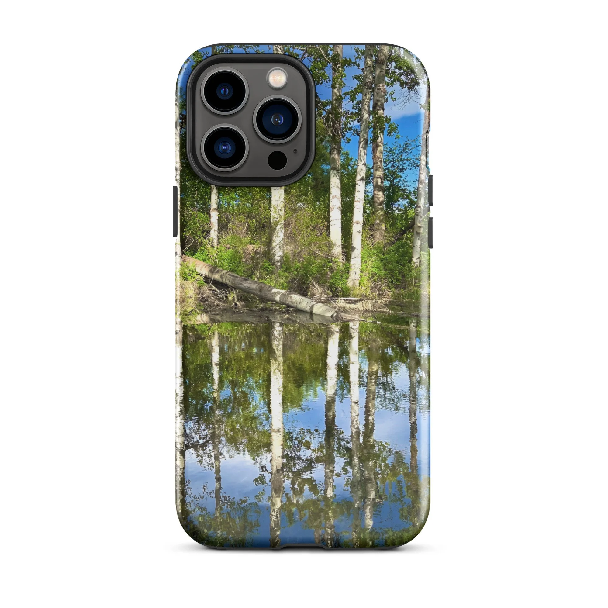 tough-case-for-iphone-glossy-iphone-13-pro-max-front-6659da472e3c0.jpg