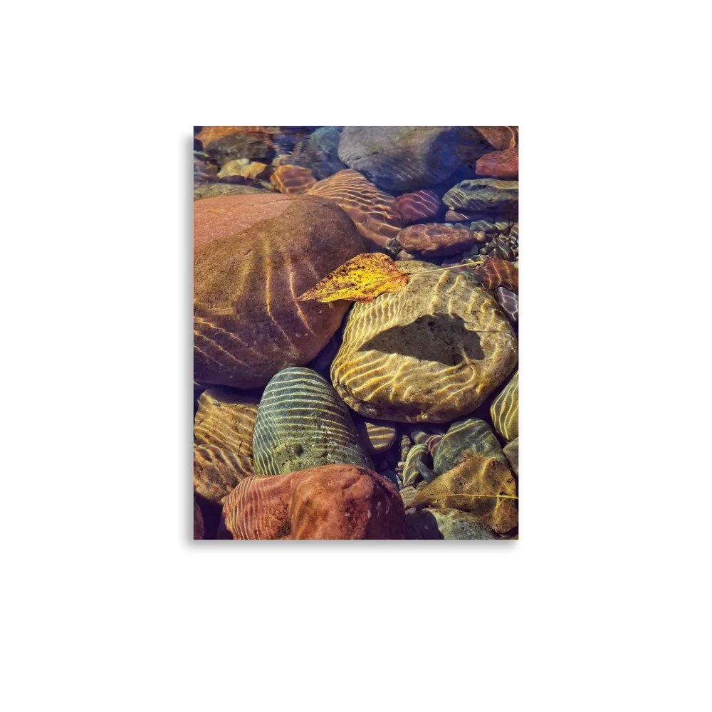 enhanced-matte-paper-poster-(in)-11x14-front-6661ff7b5a565.jpg