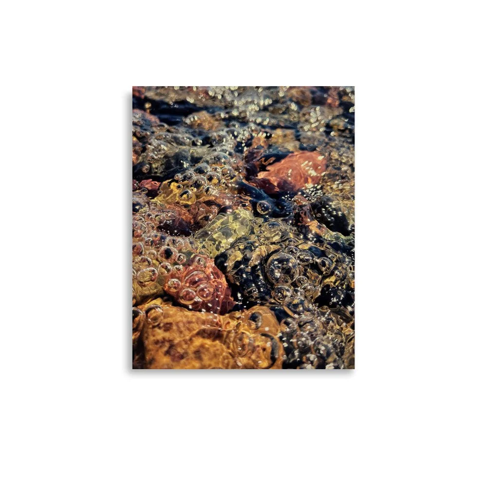 enhanced-matte-paper-poster-(in)-11x14-front-6662010d938b6.jpg