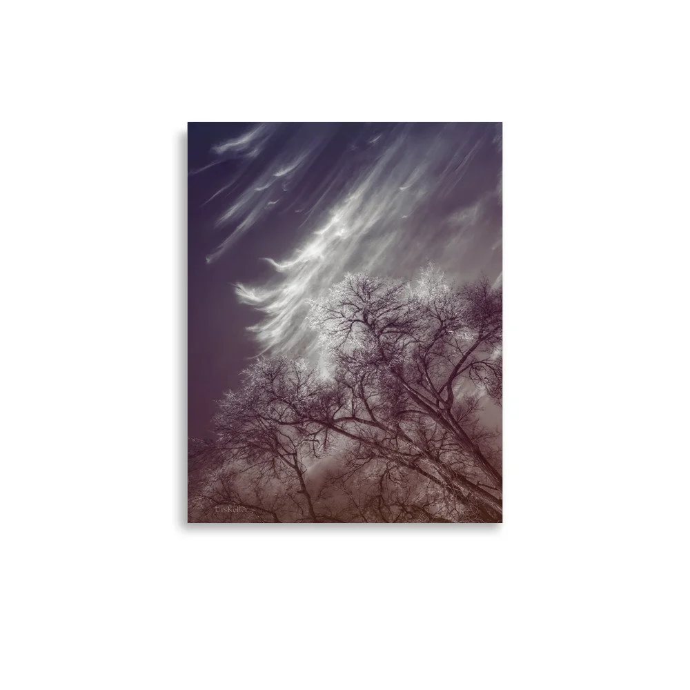 enhanced-matte-paper-poster-(in)-11x14-front-66620401070dd.jpg
