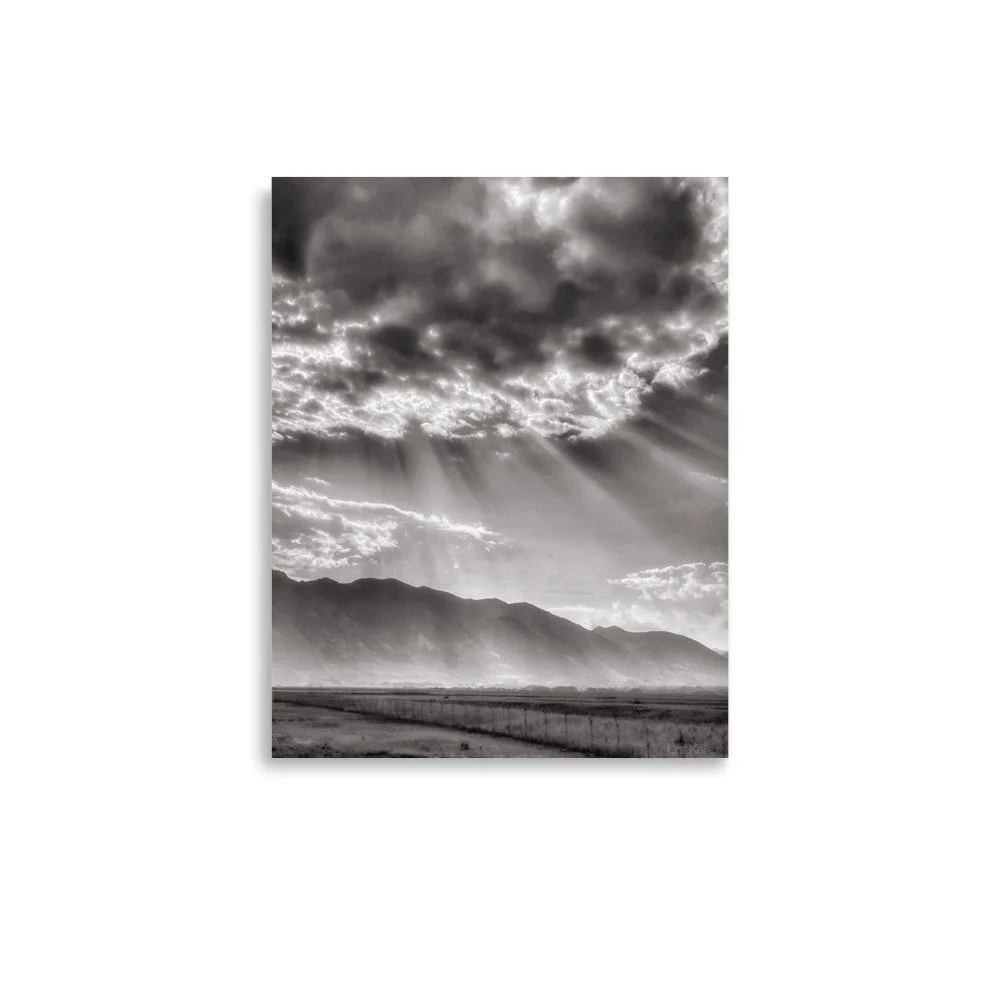 enhanced-matte-paper-poster-(in)-11x14-front-666320fc26d1b.jpg