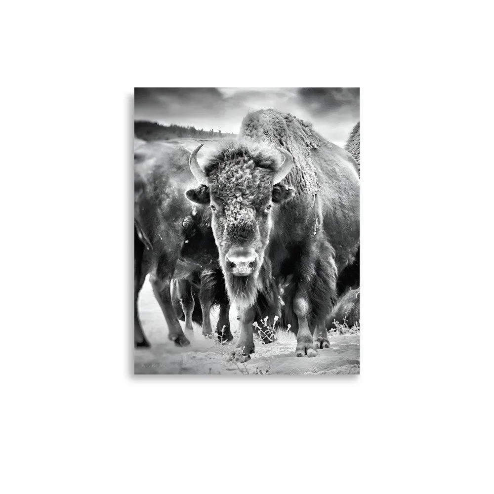 enhanced-matte-paper-poster-(in)-11x14-front-6663214b24962.jpg