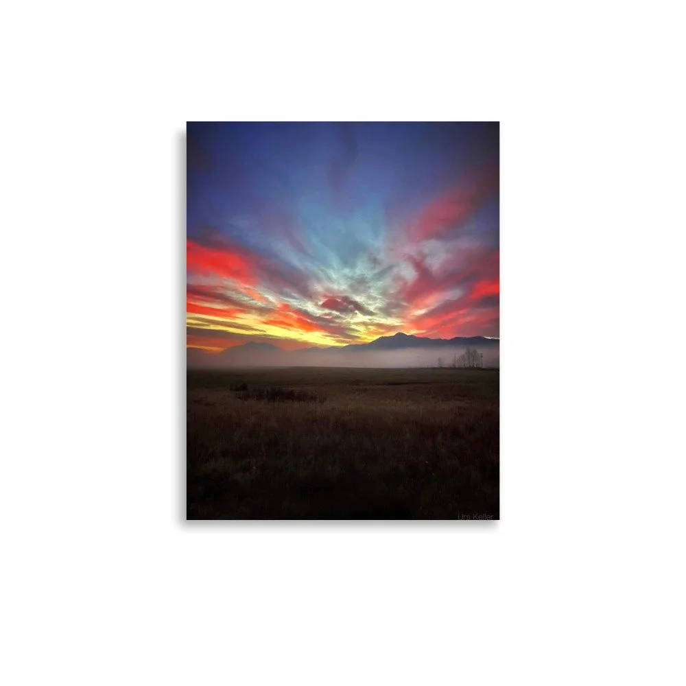 enhanced-matte-paper-poster-(in)-11x14-front-666321a4ceee7.jpg