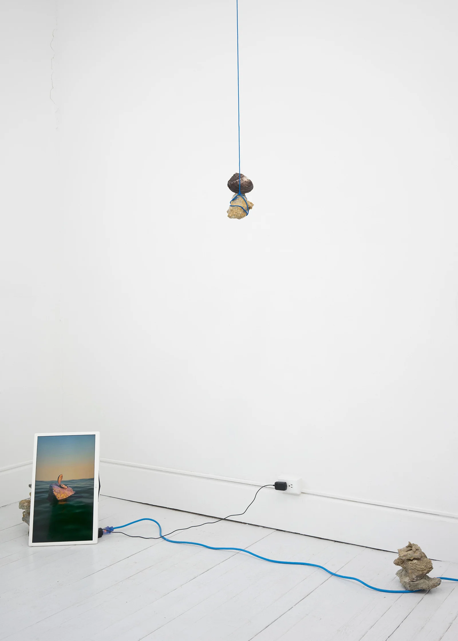 Ian Anderson and Caroline Tuner from Banks of The Calcarine Fissure