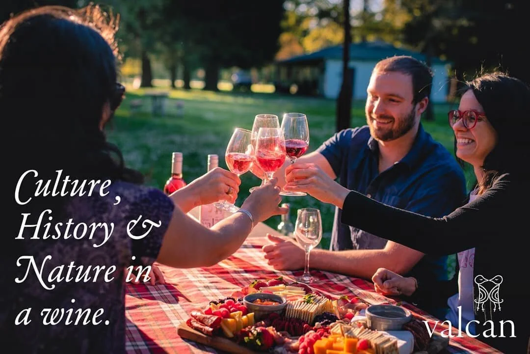 Ros&eacute; your way into June. We're open Thursday &amp; Friday 4-9 pm and Saturday 12-8 pm. Come enjoy our sunny patio and delicious wines. Plus custom made @marketofchoice cheese and charcuterie platters!
#teenytinywineriesoforegon #winetime #wine