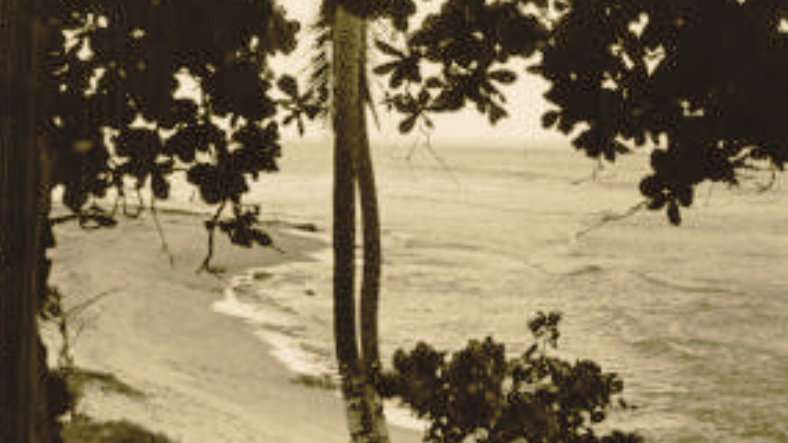 47| Casimiro y las islas