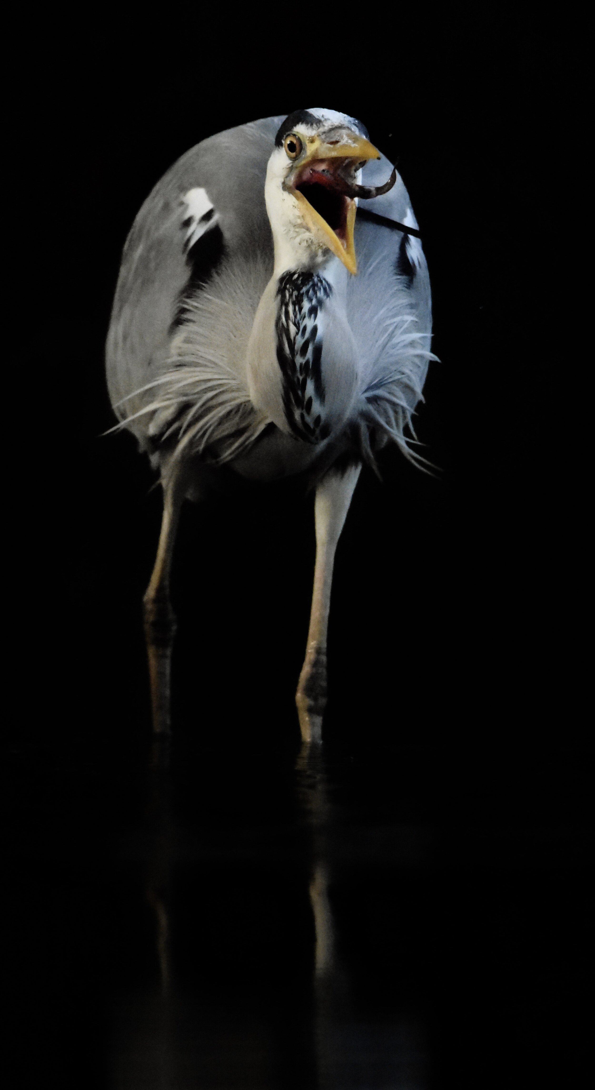 CD712522-31F3-4A65-8E1E-D09D248C48A2_1_201_a.jpeg