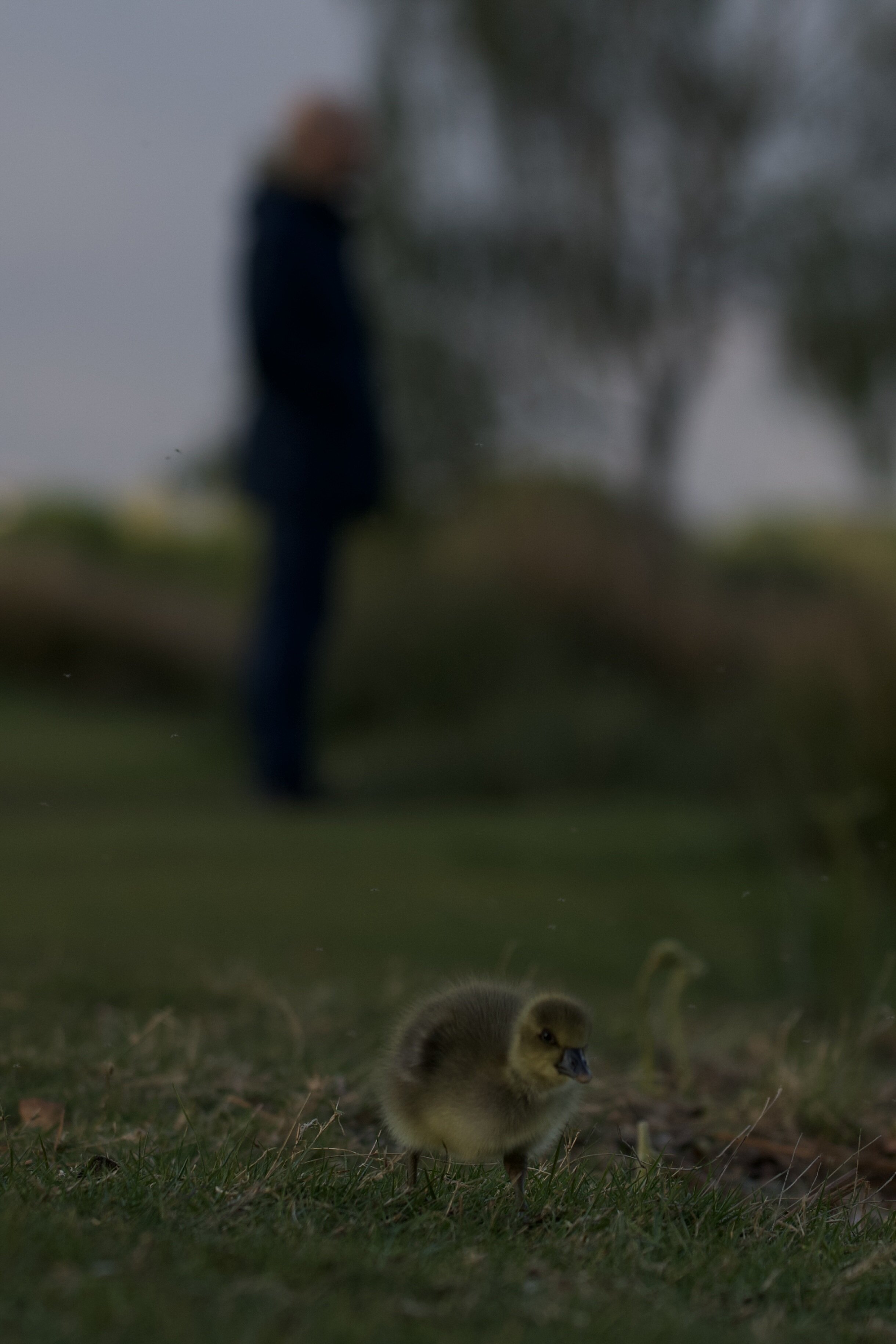 669A8978-EA12-4D58-A391-2B76366E699C_1_100_o.jpeg