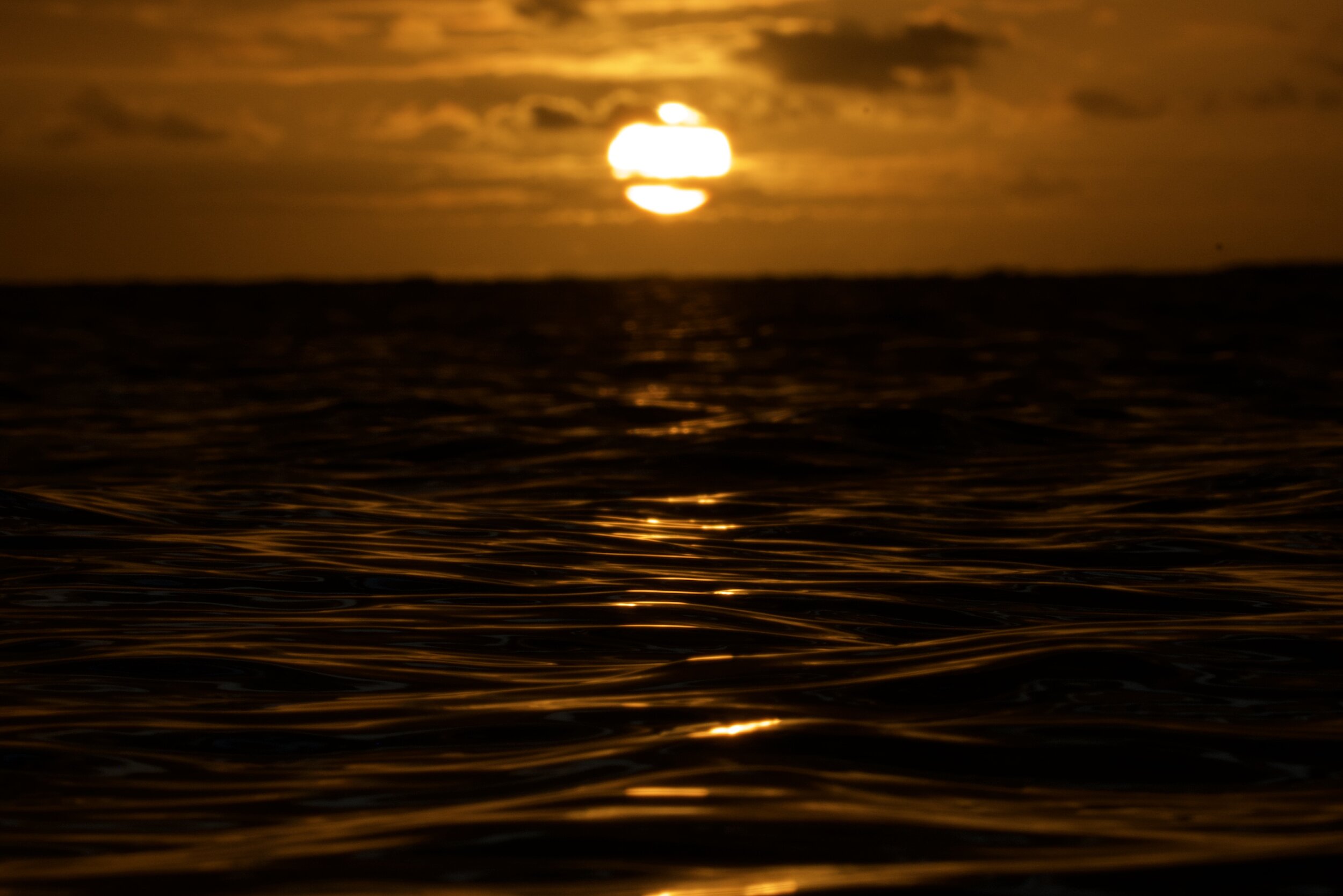26A886A6-32C2-46BF-BCA8-48CF741D32E1_1_100_o.jpeg