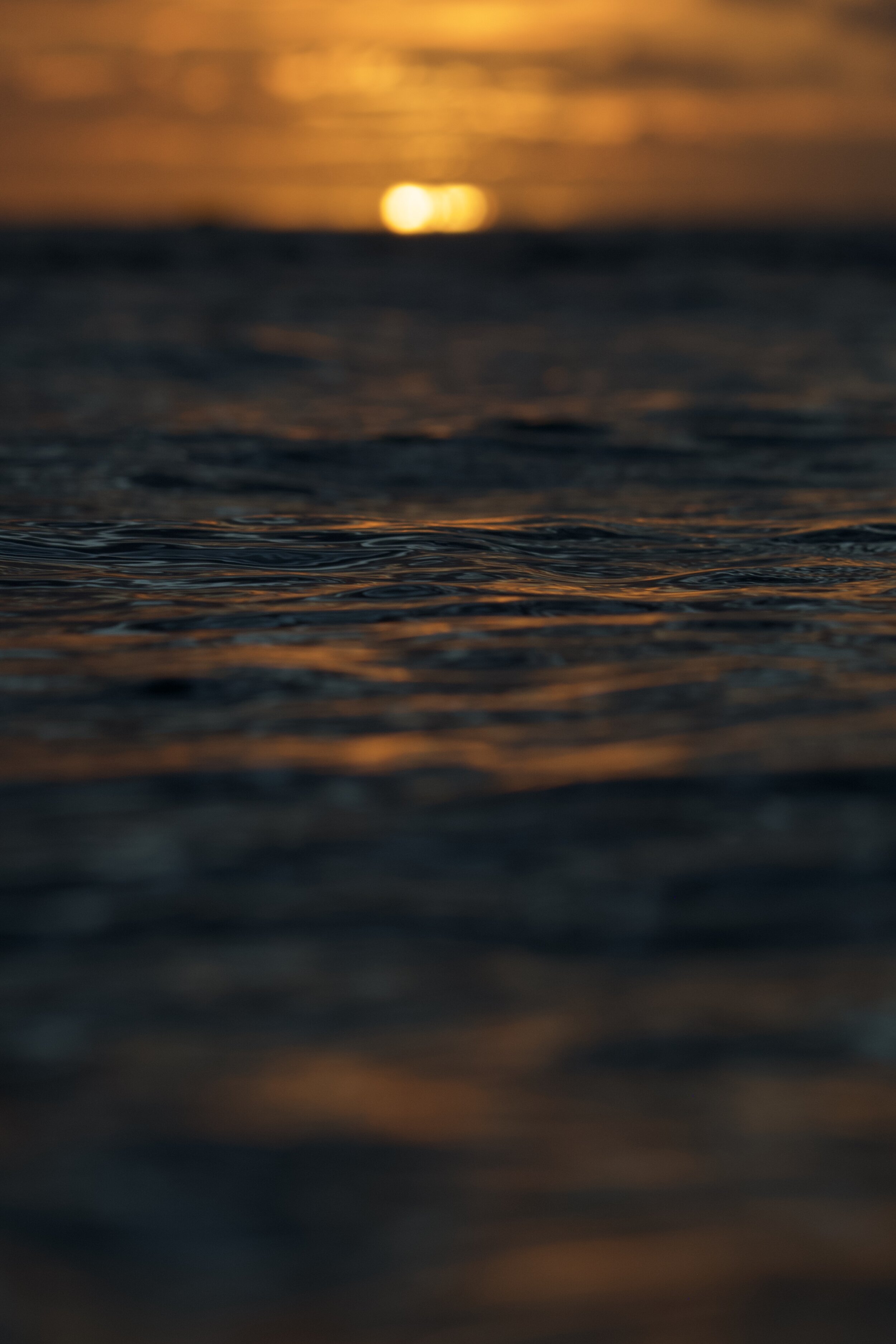 141F93D6-3A7D-47C3-9F4D-F8DD61038316_1_100_o.jpeg