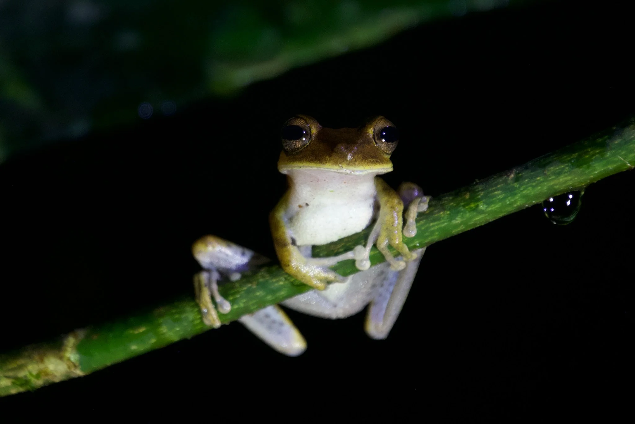 B7711EF7-A4DF-4759-B5C2-A4B3C6FFF572_1_100_o 2.JPG