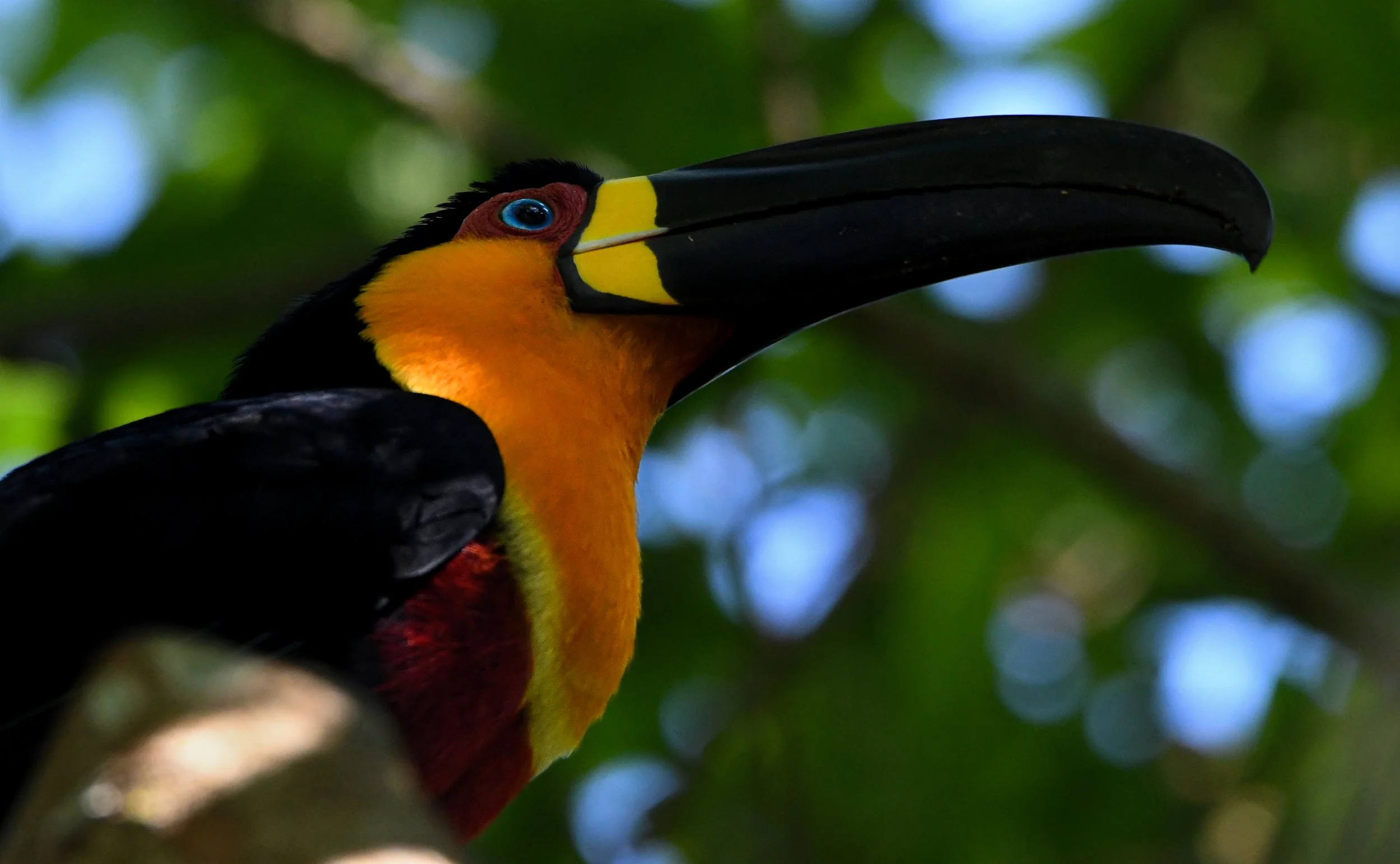 DSC_9641.jpg