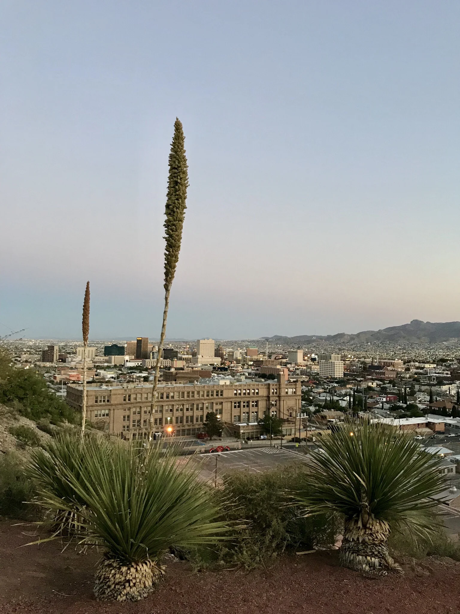 Peering toward the southeast over the ledge of a park up above downtown El Paso, TX at sunset.