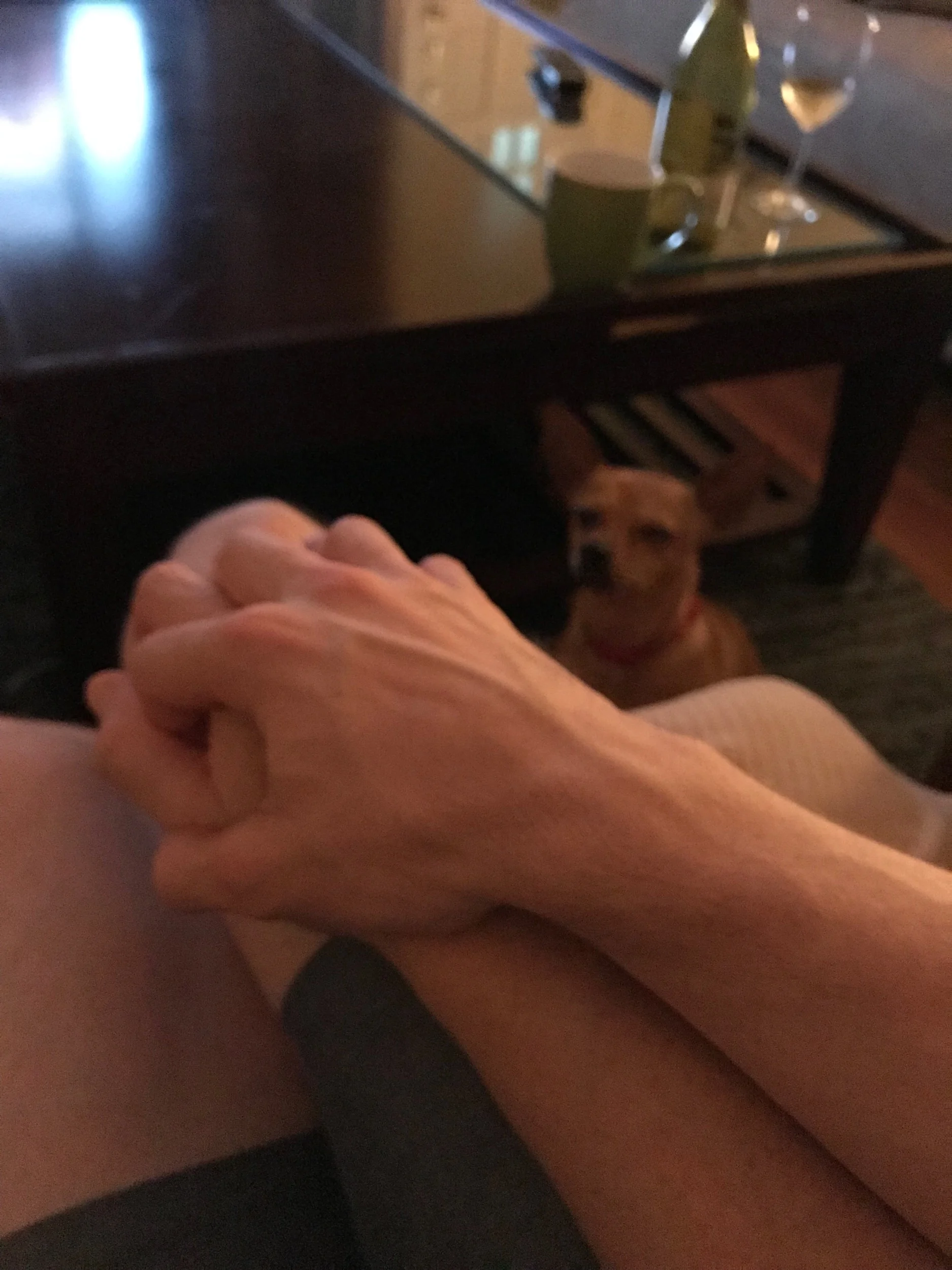 Someone is jealous of the affection not focused on her.