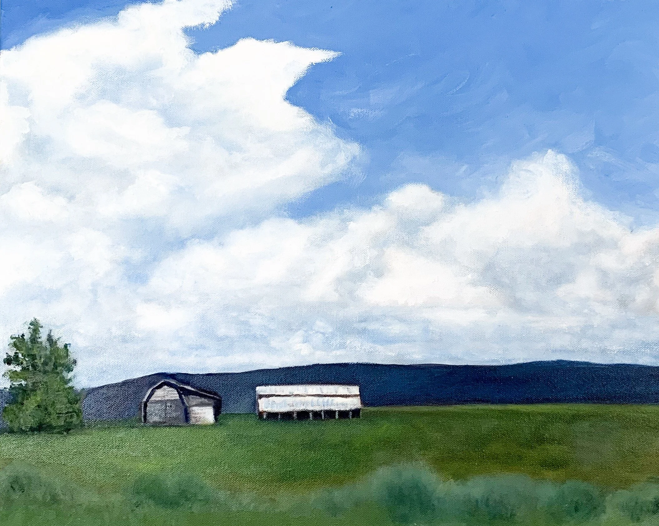 Montana Farm Under Skies