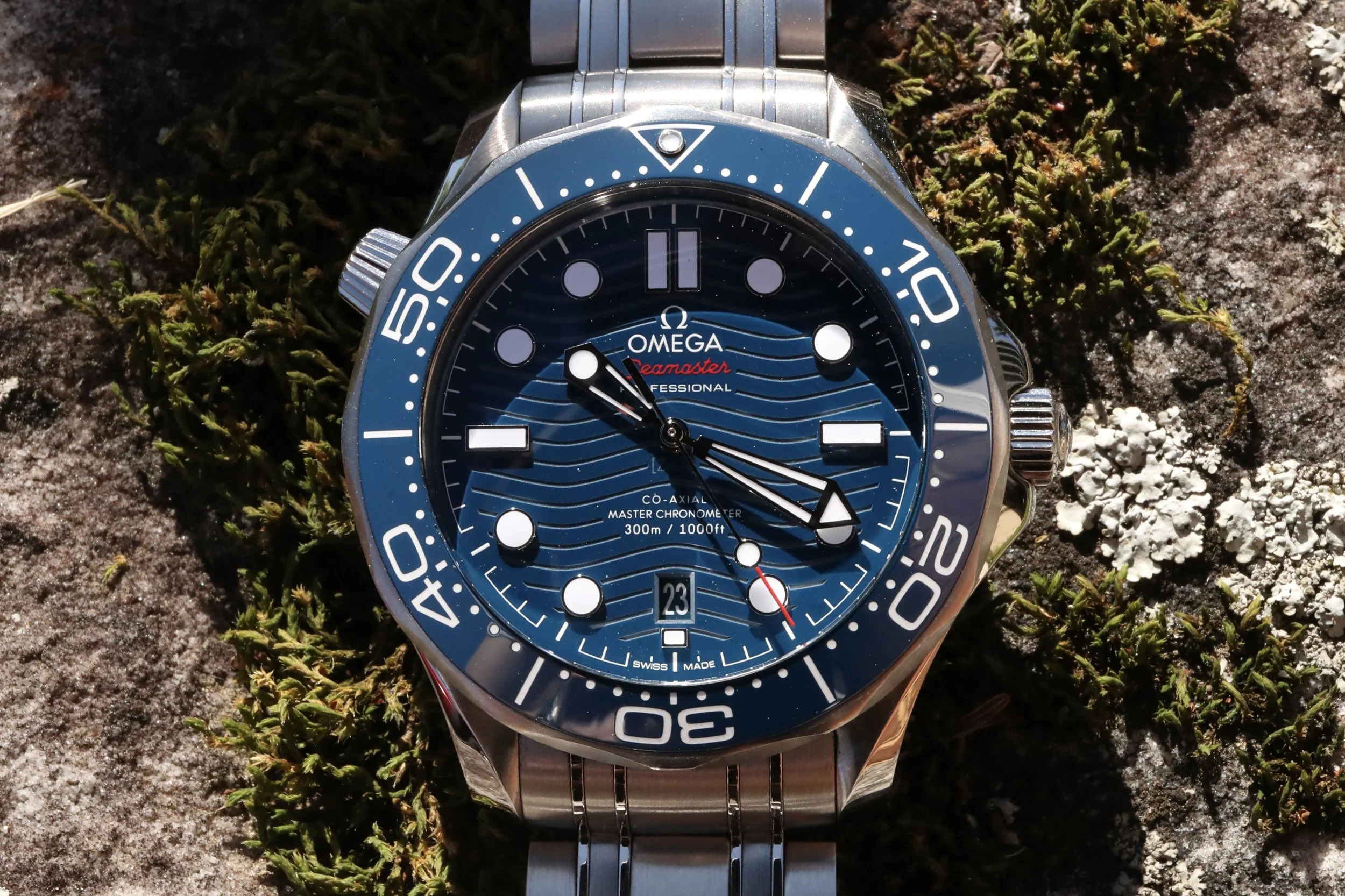 WSW_3054.JPG