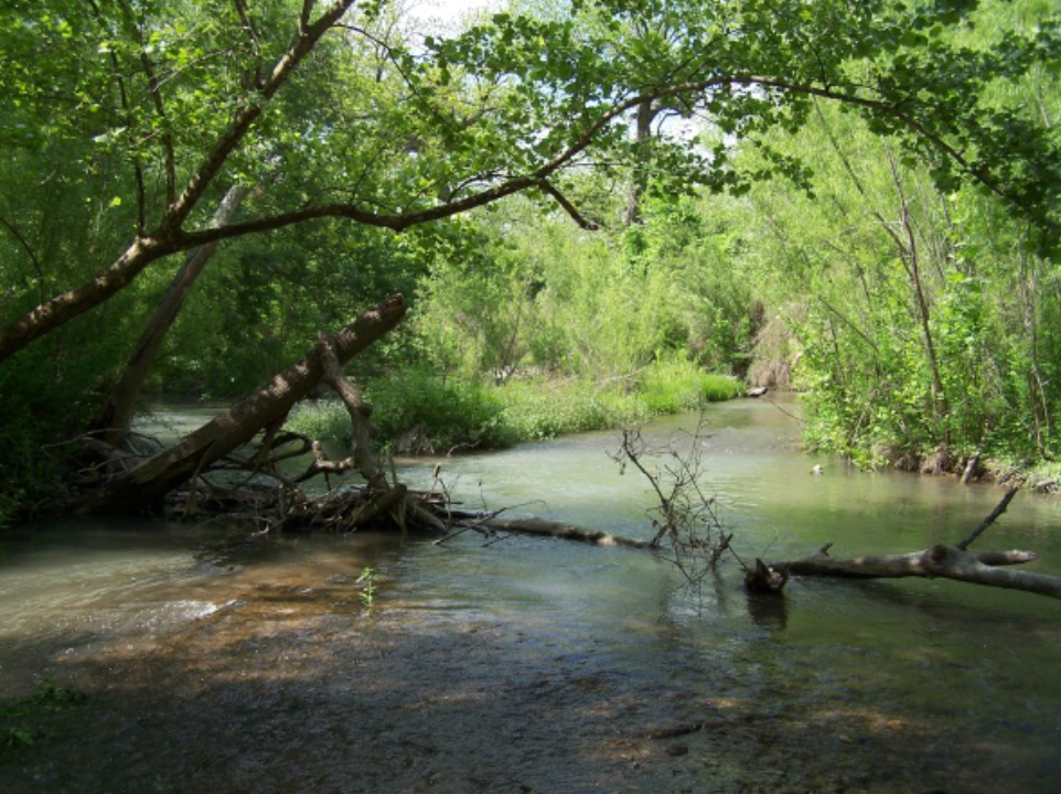 Ironwood Adds San Antonio Stream Mitigation Bank to their Portfolio