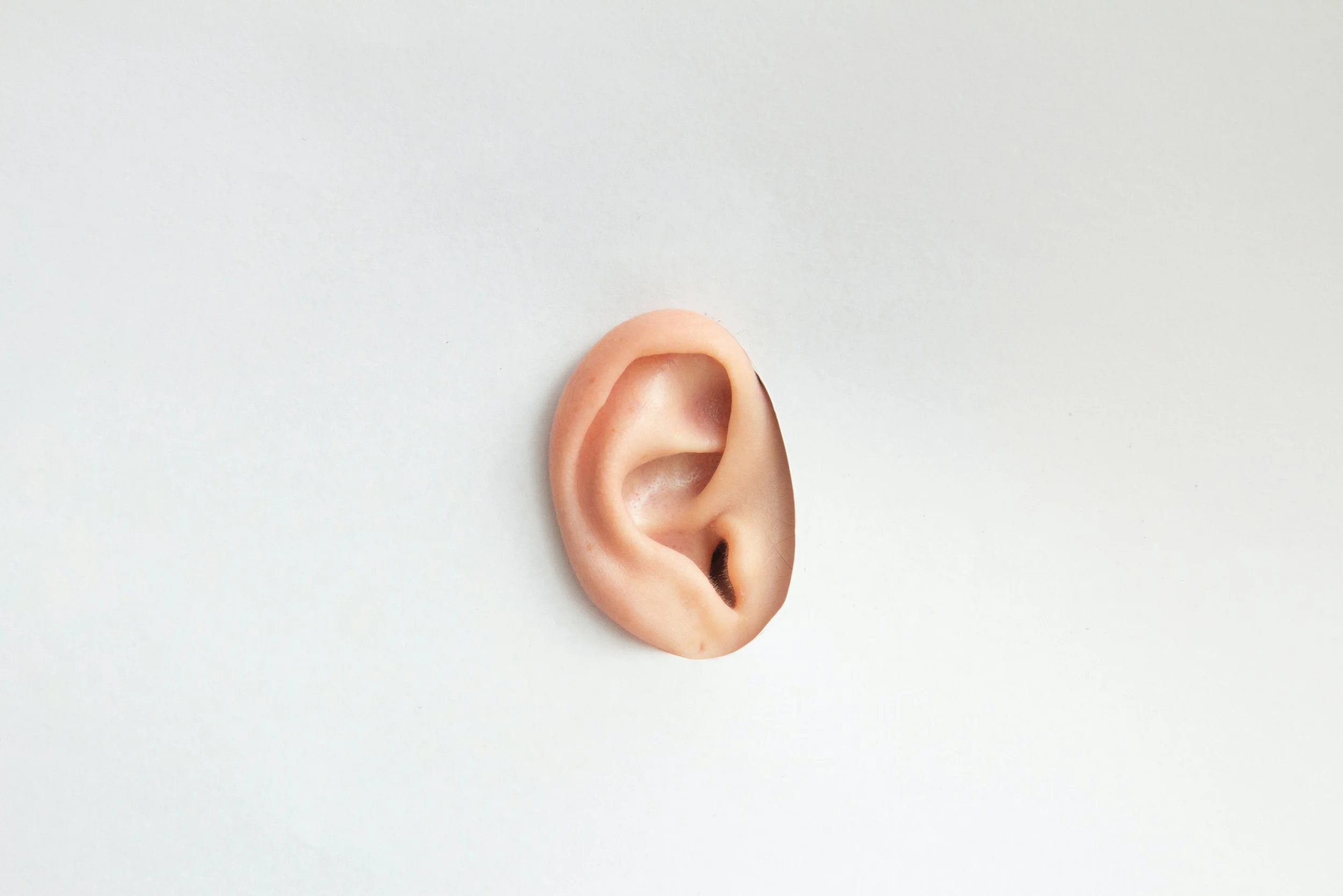 Why Not Listen? by Suzanne Scheideker Cook