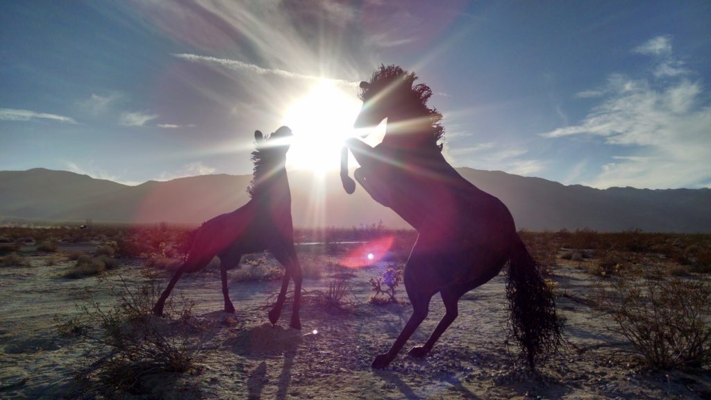 horses-full-image-1024x576.jpeg
