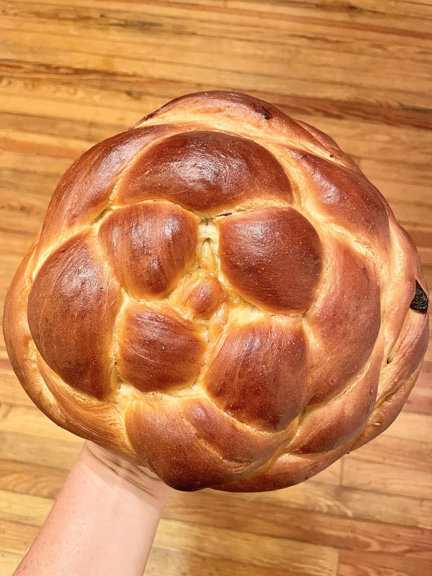 Circle of a New Year