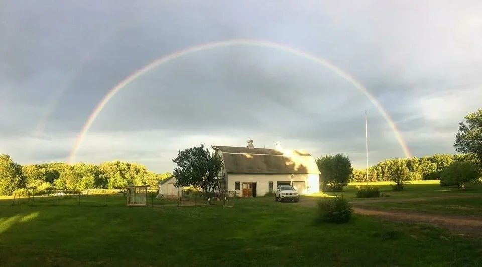 Paradox of Independence Day