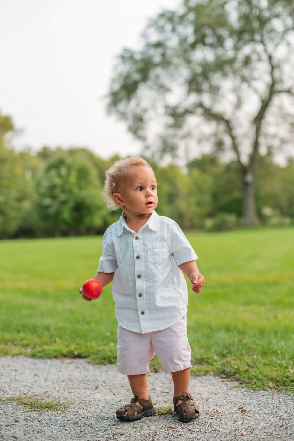 Isaiah-29.jpg