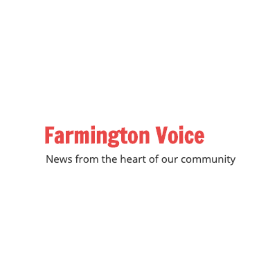 Dist. 37 Candidates Talk Health Care During Virtual Forum