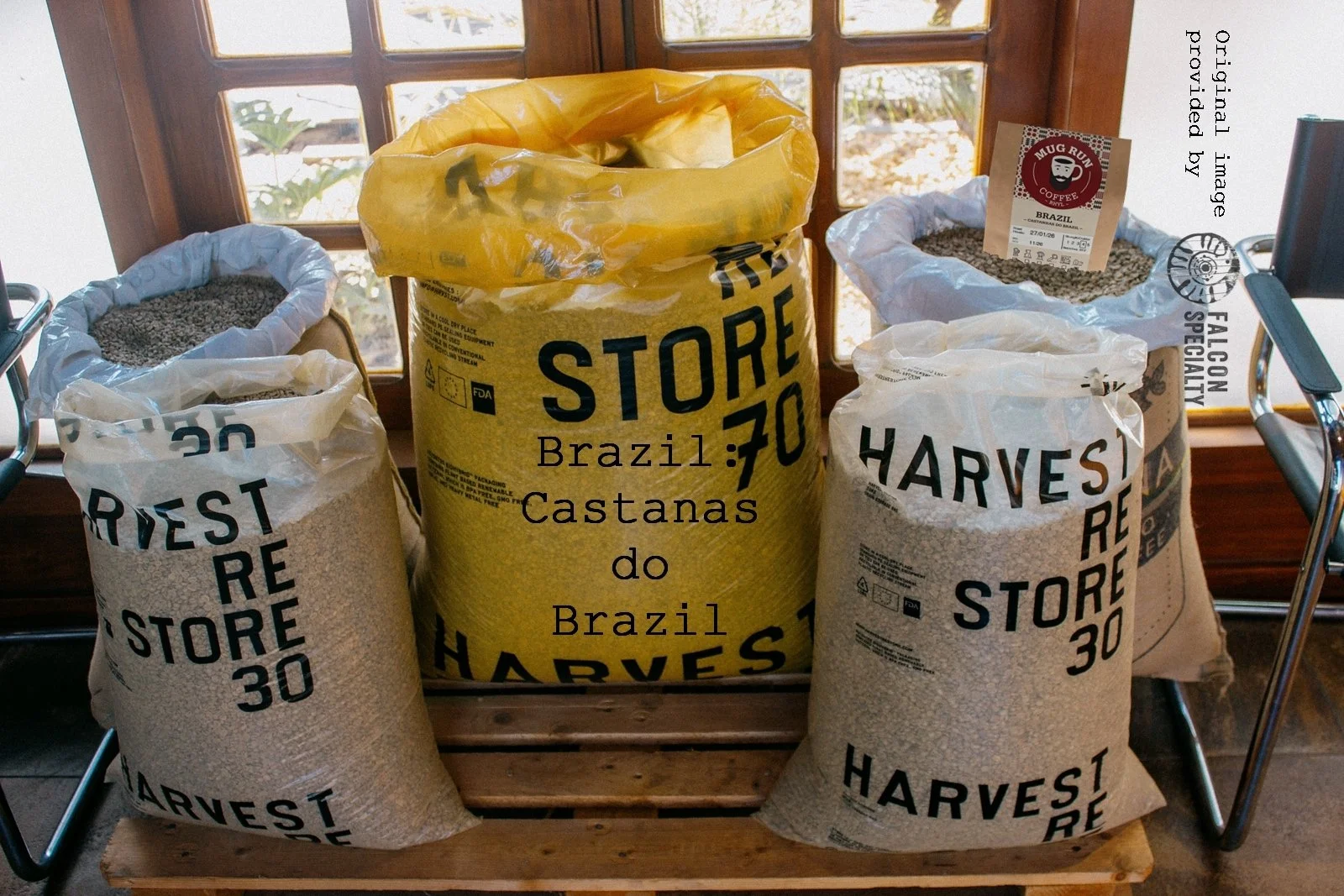 Cocatrel Office-1-X3 wrd bag.jpg