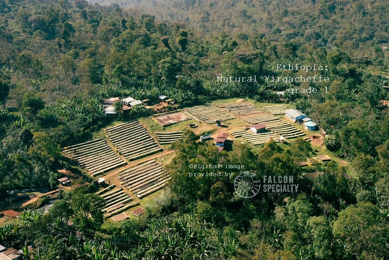 Dod yn fuan!\\Coming soon! Ethiopia: Natural Yirgacheffe Grade 1