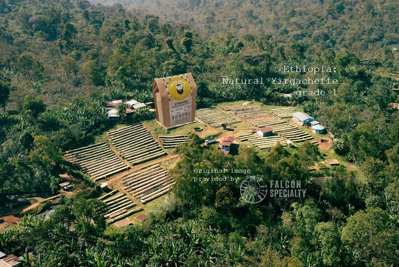 Ethiopia Yirgacheffe bag.jpg