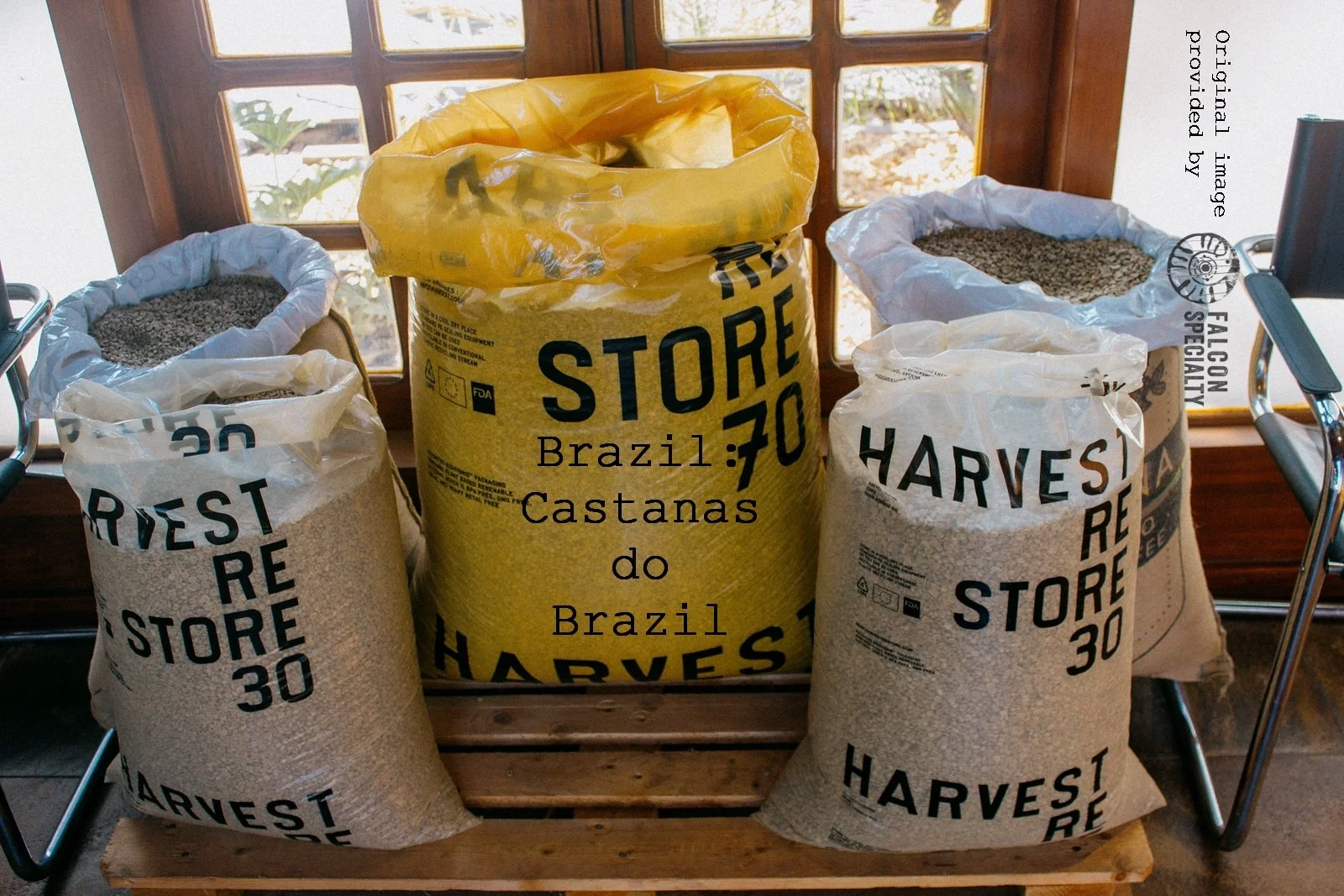 Dod yn fuan!\\Coming soon! Brazil: Castanhas do Brazil