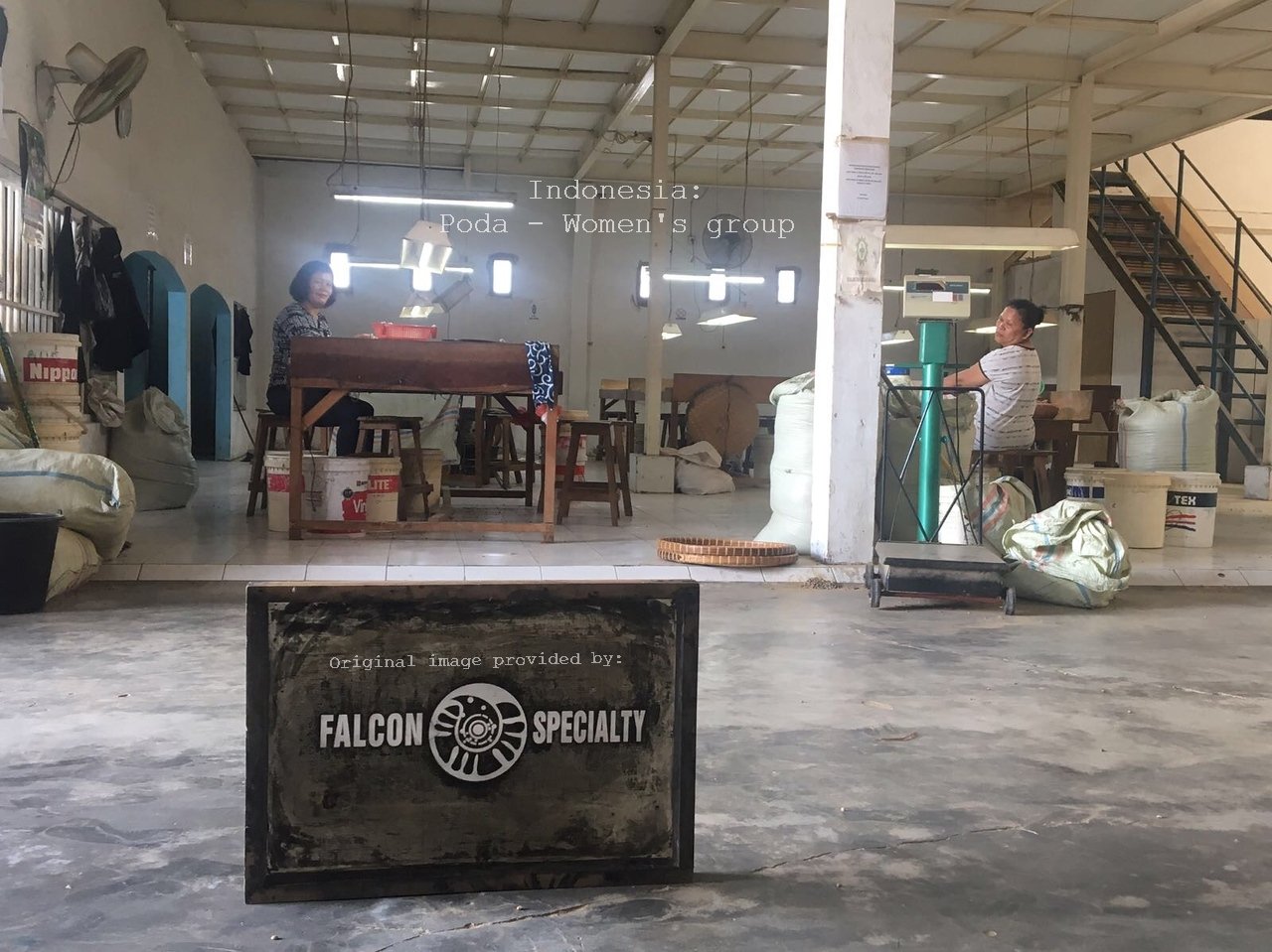 Dod yn fuan!\\Coming soon! Indonesia: Poda - Women's group