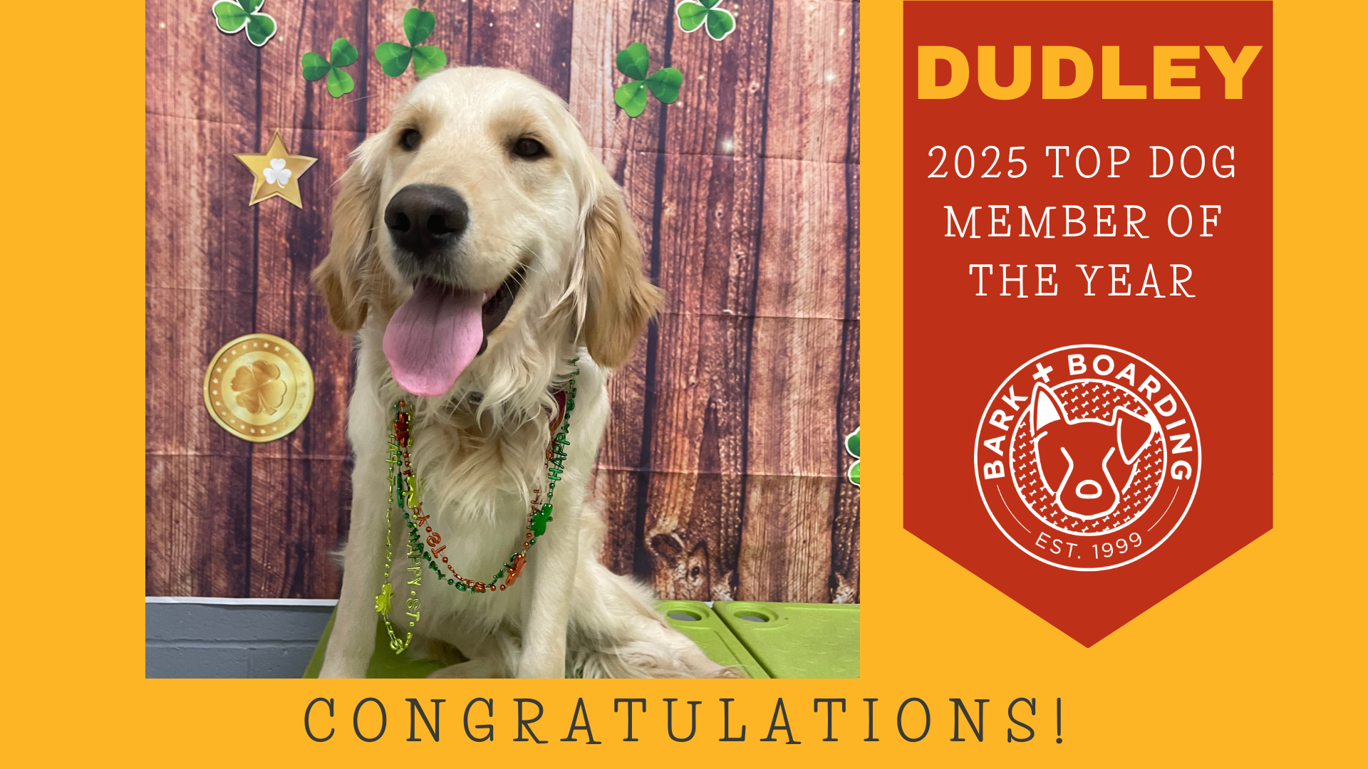 Top Dog of the Year (4).png