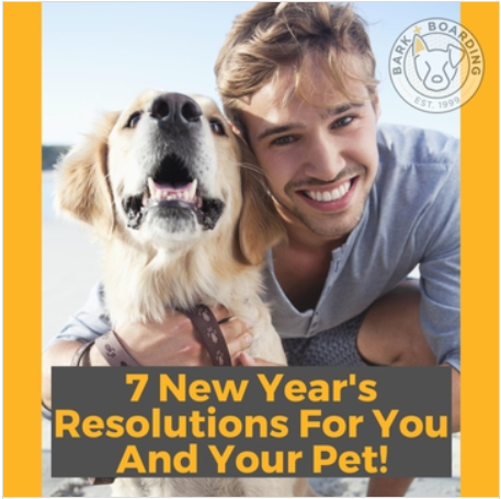 New+Years.png