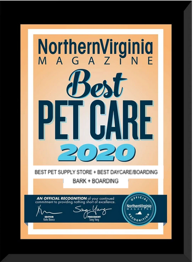 Best Pet Care 2020.png