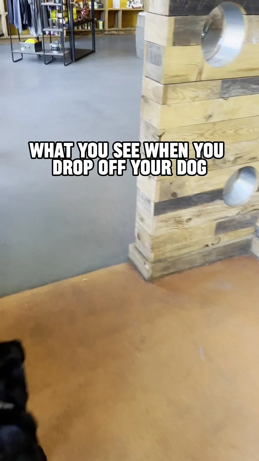 Bark + Boarding The One Stop Pet Shop