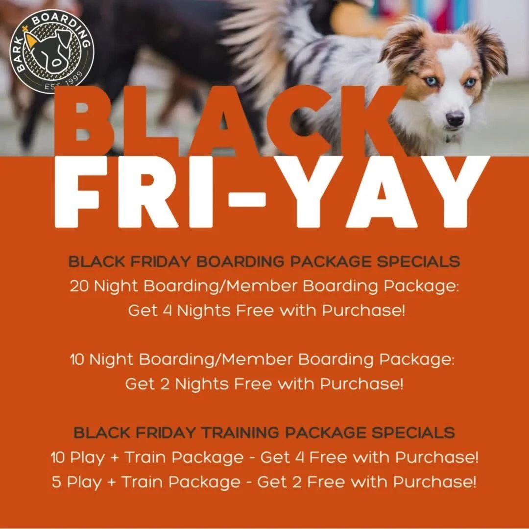 Bark + Boarding The One Stop Pet Shop