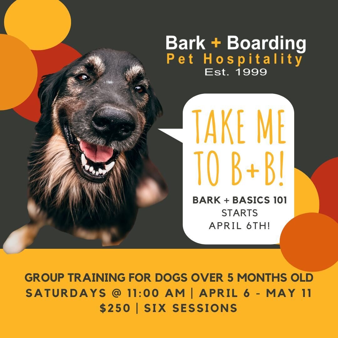 Sign up for our next group training class, Bark + Basics 101, starting April 6!

This is a 6-week class, meeting Saturday at 11am through May 11. We use exclusively positive reinforcement training methods to help strengthen the bond and understanding