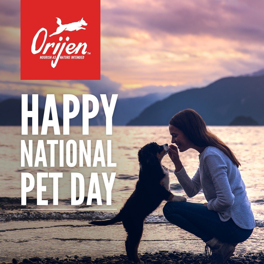 Our pets are always there for us. This National Pet Day, let&rsquo;s celebrate all the ways pets enrich our lives!