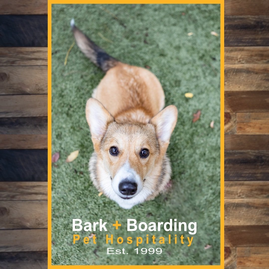 We have been sitting and waiting so patiently to share the good news, but we can&rsquo;t possibly wait any longer&hellip; Bark + Boarding is coming to Manassas THIS SUMMER! 🐶☀️ 

We are so excited to offer:
🐾Daycare
🐾Structured Daycare
🐾Boarding
