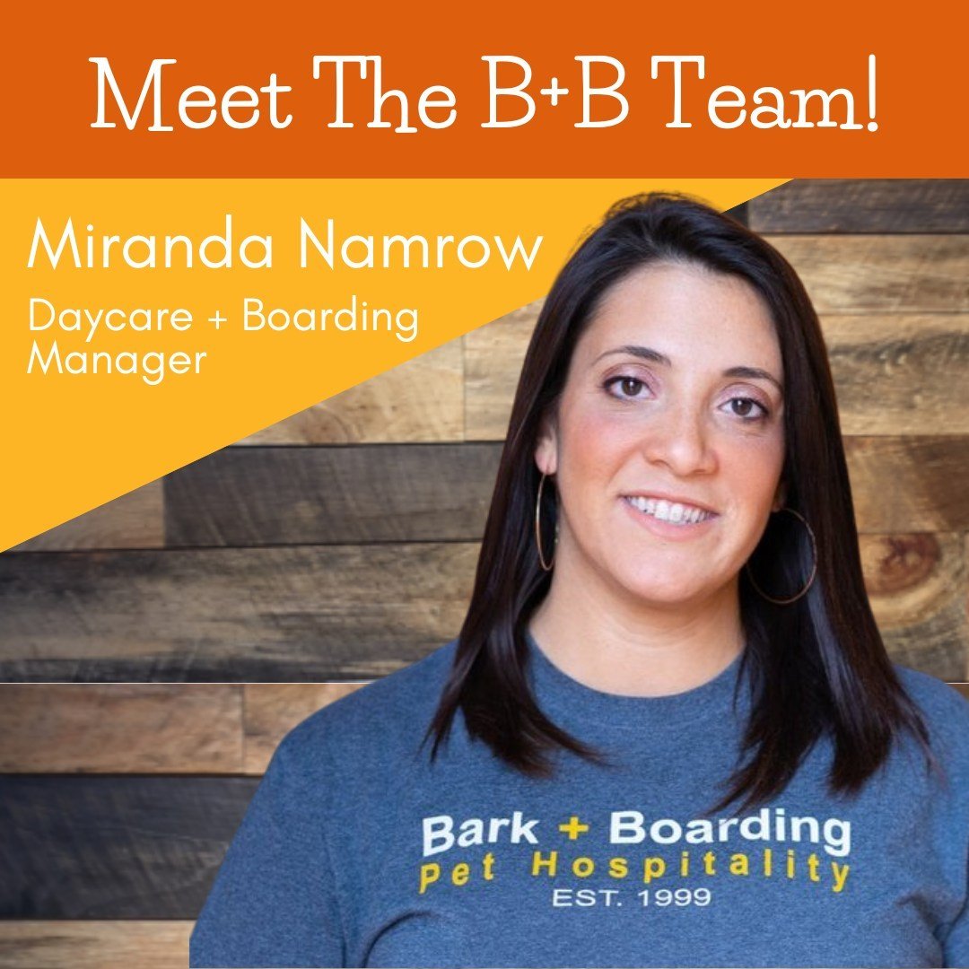 Meet our Daycare + Boarding Manager, Miranda Namrow! Miranda has been with Bark + Boarding for 13 years, and we wouldn't be where we are today without her! Her love and care for the dogs, staff and clients alike here at B+B shines through in everythi