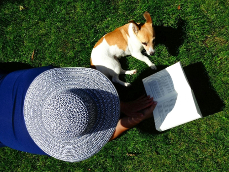 Insta-Pooch: Crafting Instagrammable Moments with Your Dog