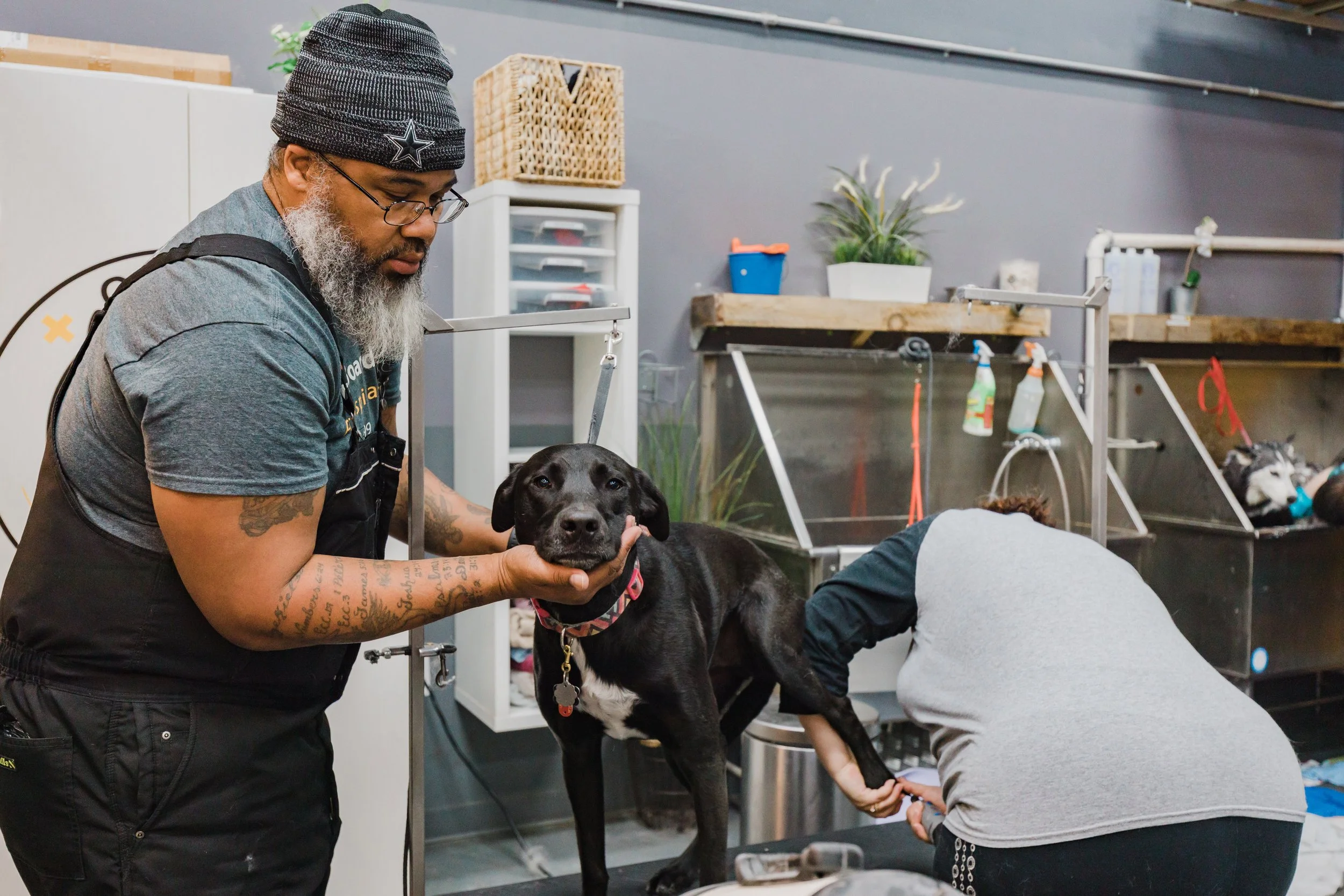 What Every Dog Owner Should Know About Dog Nail Care