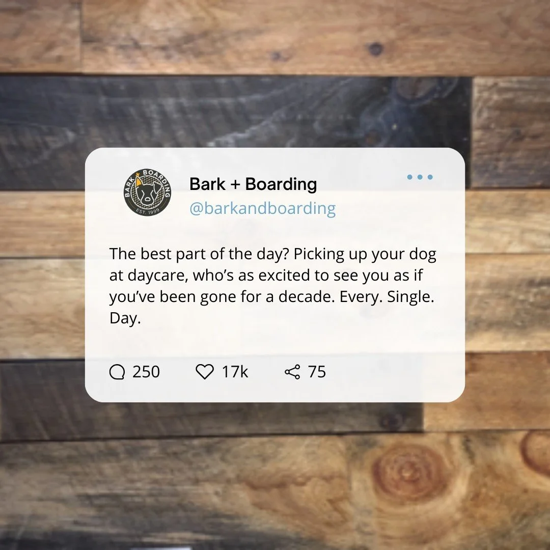 Excited going into daycare, and excited coming out! Have you joined the pack yet? Check the link in our bio to schedule your evaluation!⠀
⠀
#quoteoftheday #dogparent #pawrents #dogmom #dogdad #dogperson #mustlovedogs #happypups #doglife #dogdays