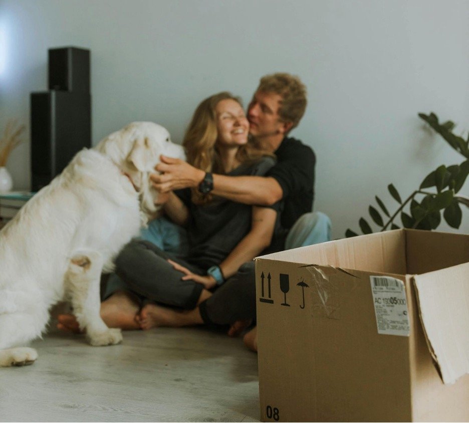 Life Changes That Shake Up Your Pet’s World (and How to Steady It)