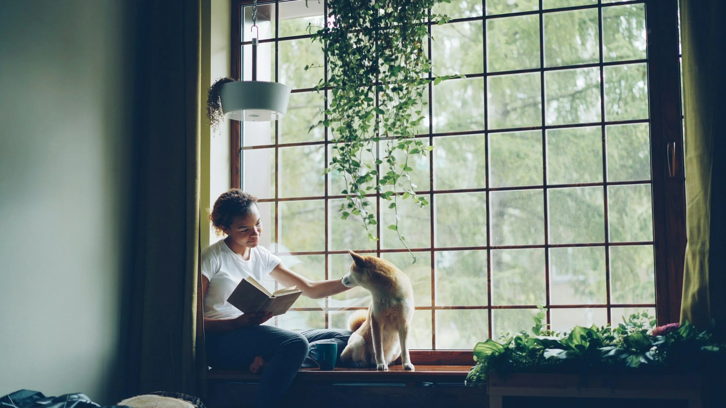 How to Design a Stylish Dog-Friendly Home That Lasts