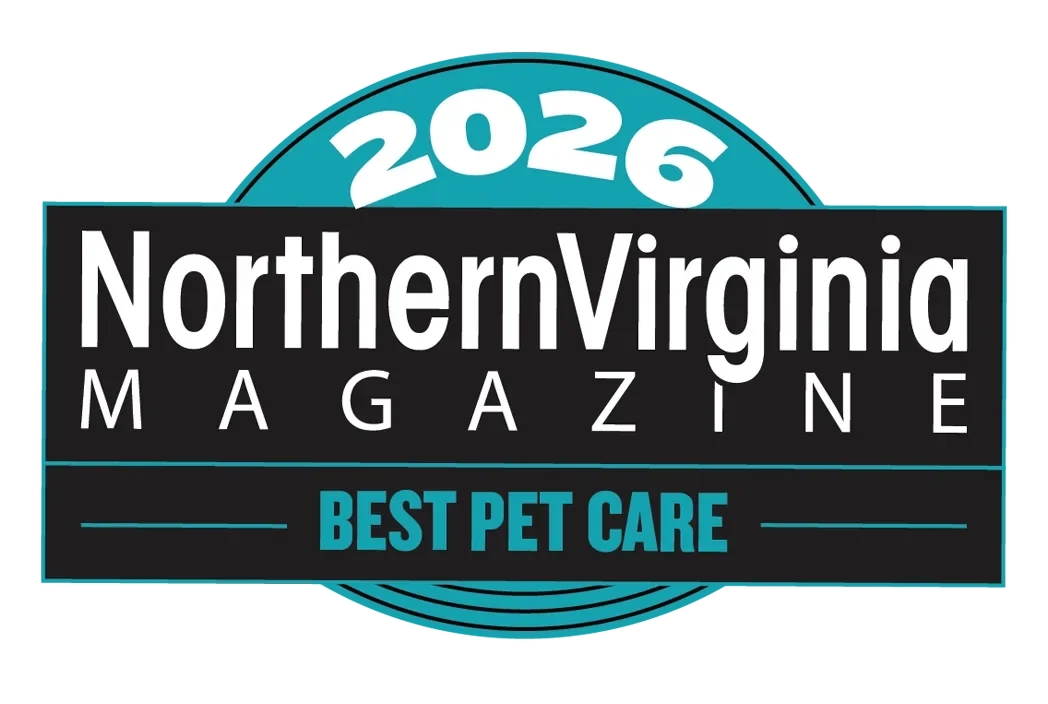 BestPetCare2026.webp