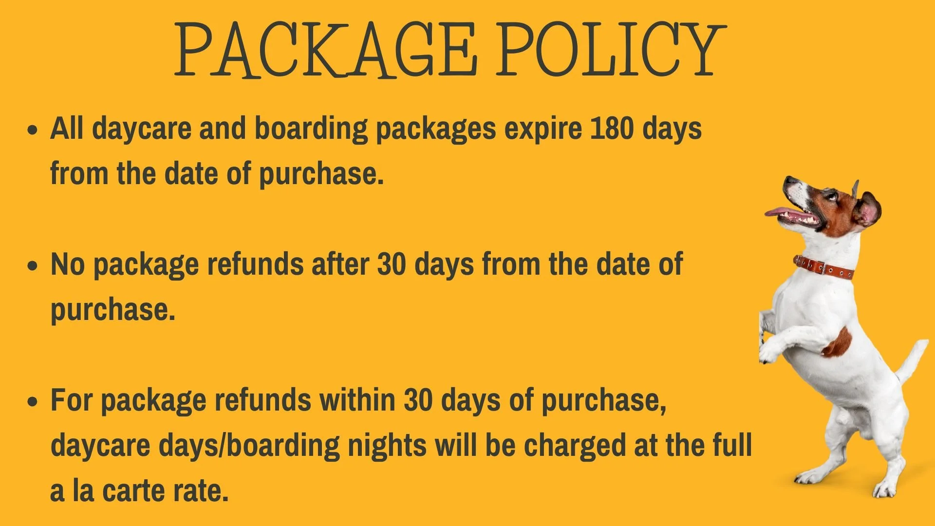 WEBSITE PROMOS (6).jpg